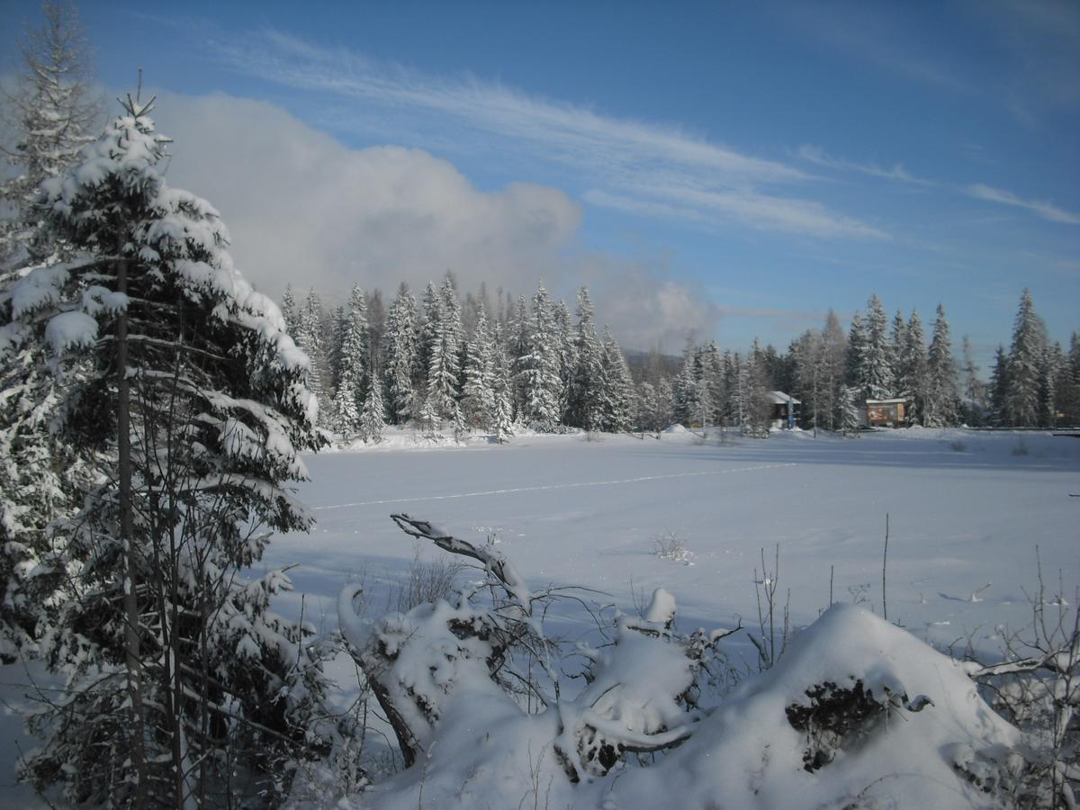 Apartman Panorama 213, Studio Comfort Štrbské Pleso Exteriér fotografie